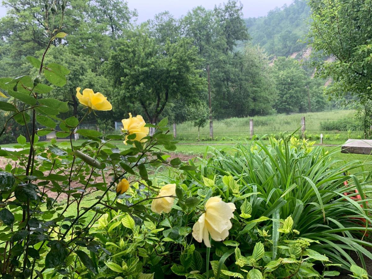Holiday Residence Buric Visoko Bagian luar foto