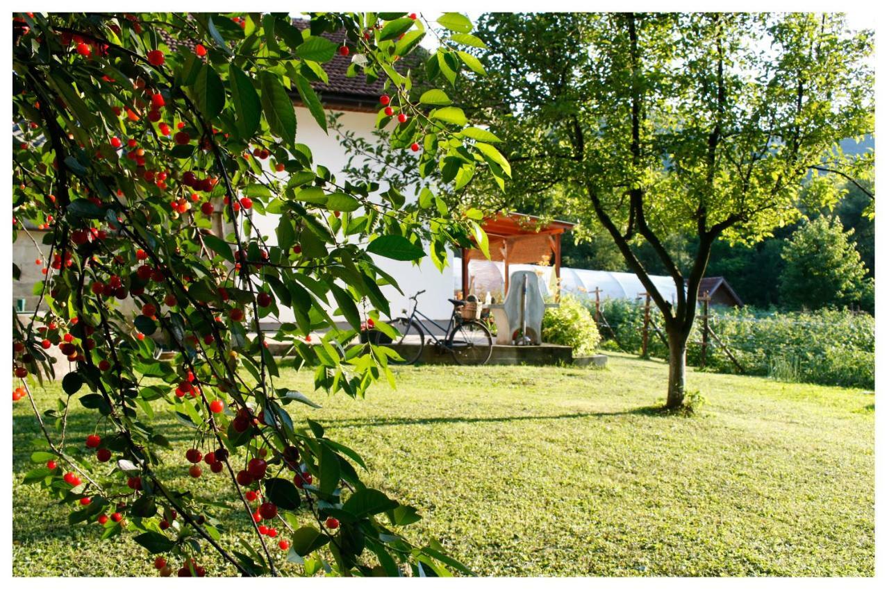 Holiday Residence Buric Visoko Bagian luar foto